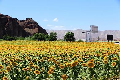 《渡神纪2》取消地图标记 游戏画面更逼真